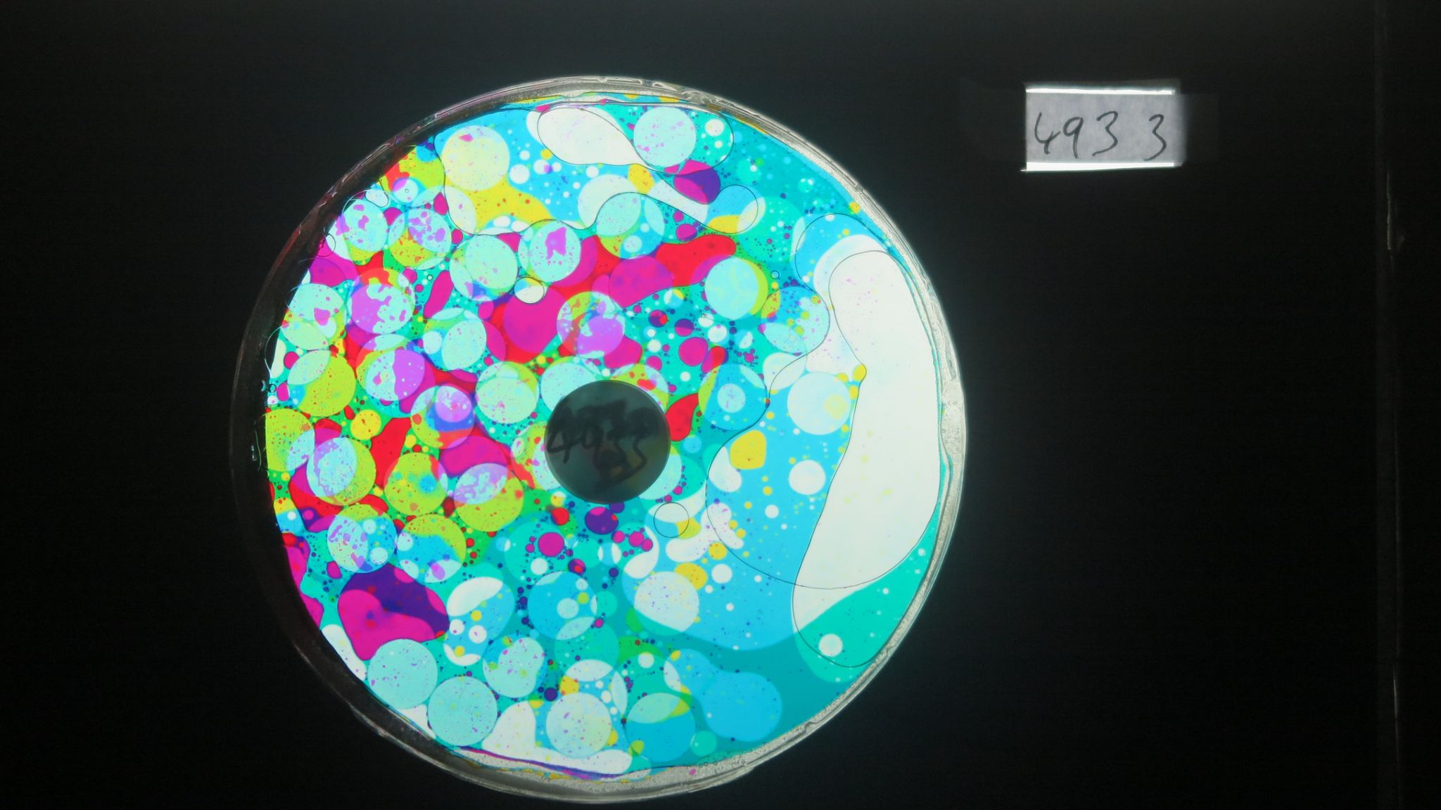 BV4933 bubble vision oil wheel